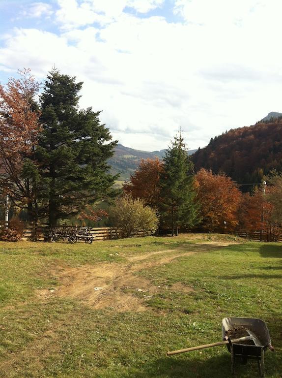 Veresko Villa Lacul Roşu Exterior foto
